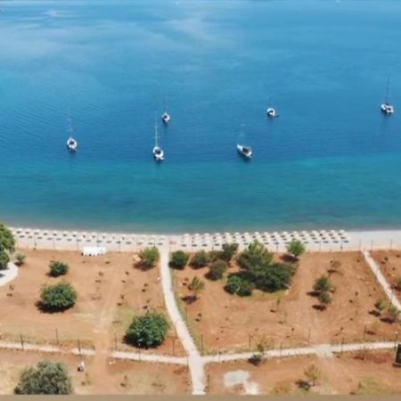 Ceylanhouse-2 Lägenhet Dalaman Exteriör bild